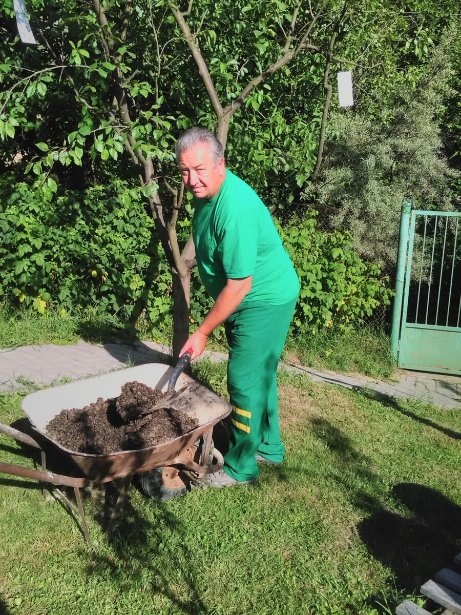DIERA v NEBI 2
