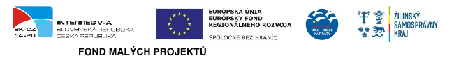 interregv4 logo